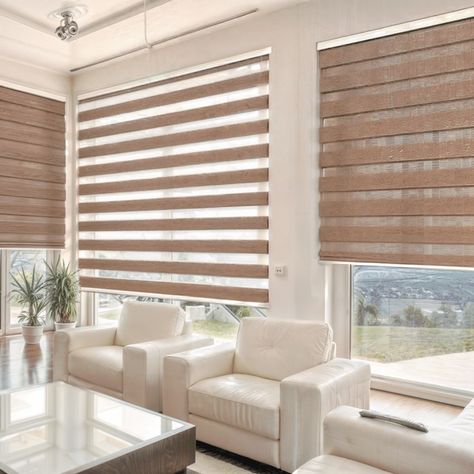 Blackout Zebra Blinds